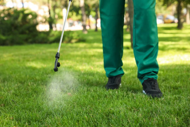 Best Best Pest Control Companies  in Wyboo, SC