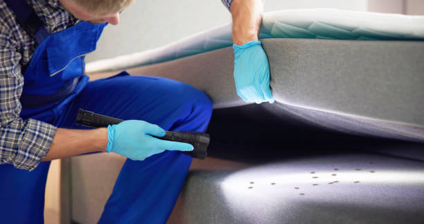 Best Mosquito Control Services  in Wyboo, SC