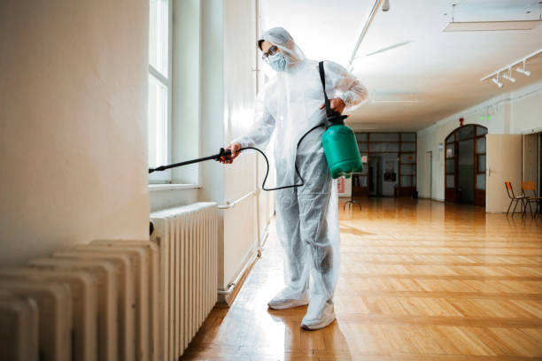 Best Affordable Pest Control Services  in Wyboo, SC